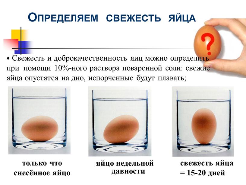 ОПРЕДЕЛЯЕМ СВЕЖЕСТЬ ЯЙЦА Свежесть и доброкачественность яиц можно определить при помощи 10%-ного раствора поваренной соли: свежие яйца опустятся на дно, испорченные будут плавать;