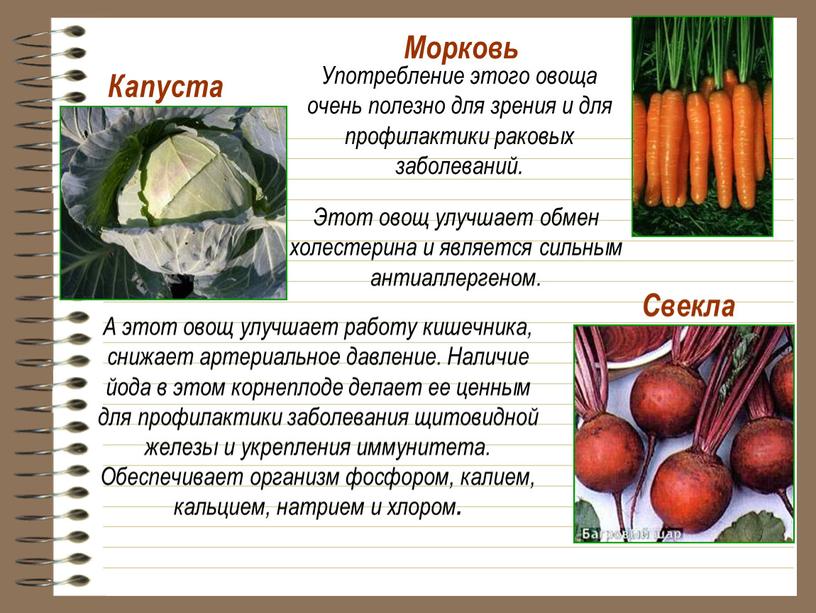 Свекла А этот овощ улучшает работу кишечника, снижает артериальное давление