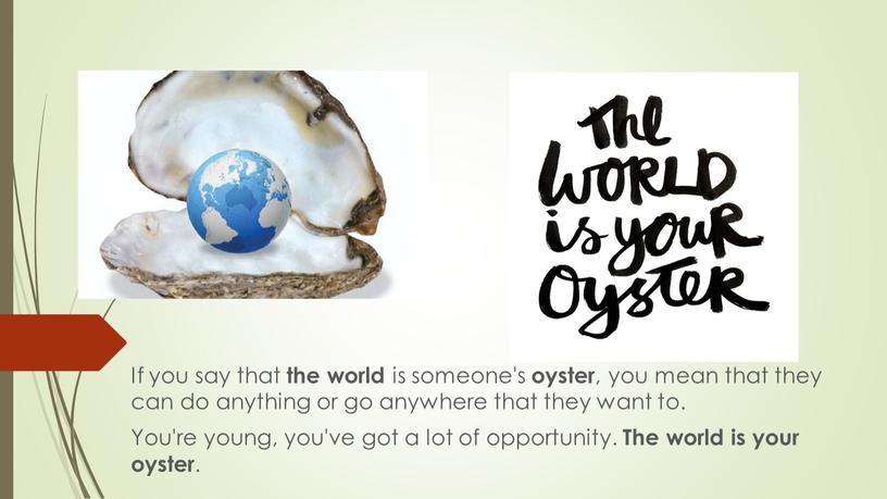 If you say that the world is someone's oyster , you mean that they can do anything or go anywhere that they want to