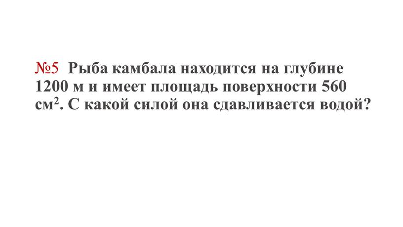 Рыба камбала находится на глубине 1200 м и имеет площадь поверхности 560 см2