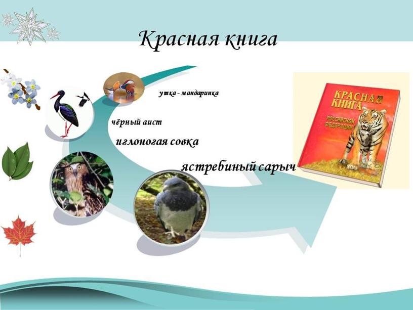 Красная книга урок