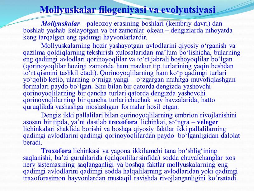 Mollyuskalar filogeniyasi va evolyutsiyasi