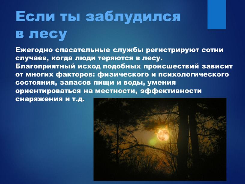 Если ты заблудился в лесу Ежегодно спасательные службы регистрируют сотни случаев, когда люди теряются в лесу