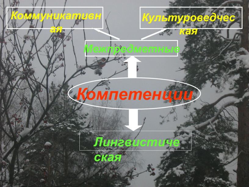 Компетенции Межпредметные Коммуникативная