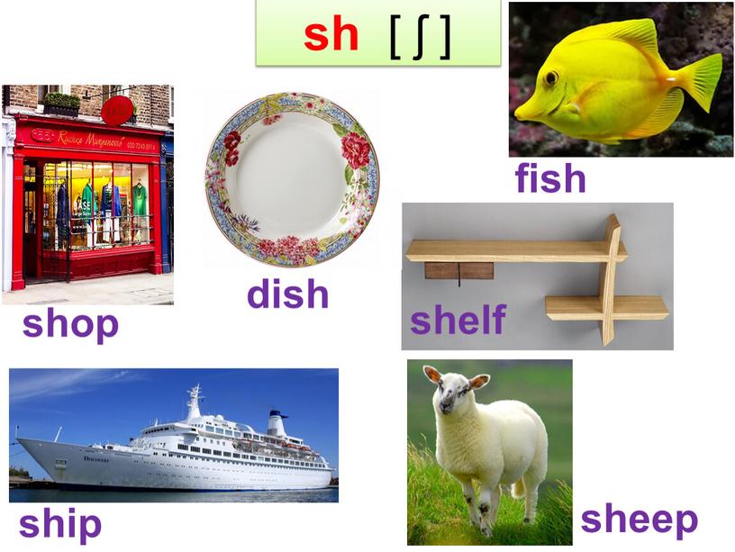 sh [ ʃ ] ship fish shop dish shelf sheep