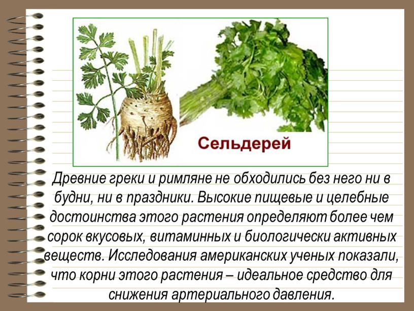 Древние греки и римляне не обходились без него ни в будни, ни в праздники