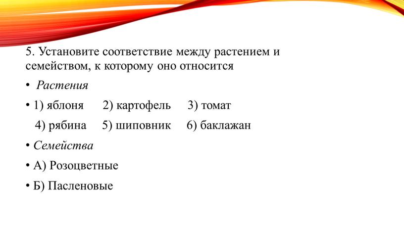 Установите соответствие между растением и семейством, к которому оно относится