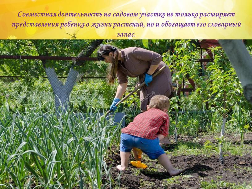Совместная деятельность на садовом участке не только расширяет представления ребенка о жизни растений, но и обогащает его словарный запас