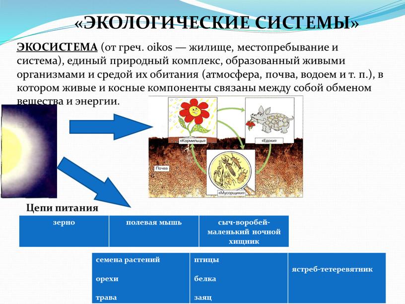 ЭКОЛОГИЧЕСКИЕ СИСТЕМЫ» ЭКОСИСТЕМА (от греч