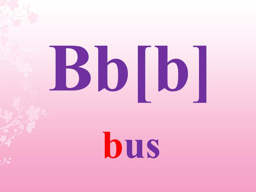 Bb[b] bus