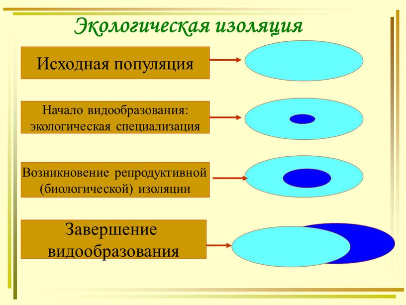 Экологическая изоляция Исходная популяция