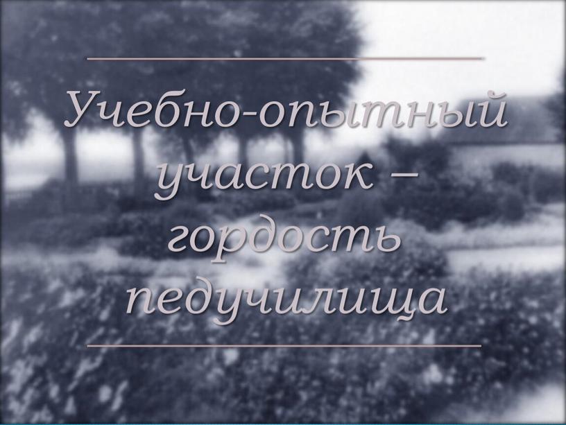 Учебно-опытный участок – гордость педучилища