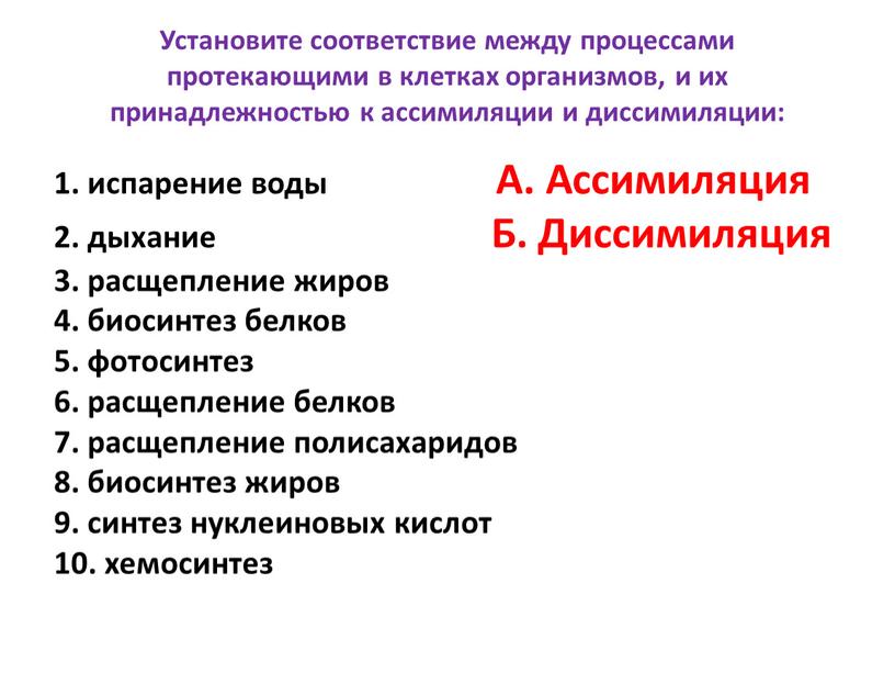 Установите соответствие между процессами протекающими в клетках организмов, и их принадлежностью к ассимиляции и диссимиляции: 1