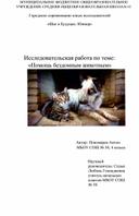 Исследовательская работа " Помощь бездомным животным"