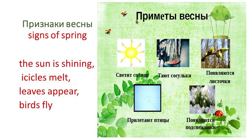 Признаки весны signs of spring the sun is shining, icicles melt, leaves appear, birds fly