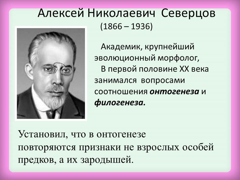 Алексей Николаевич Северцов (1866 – 1936)