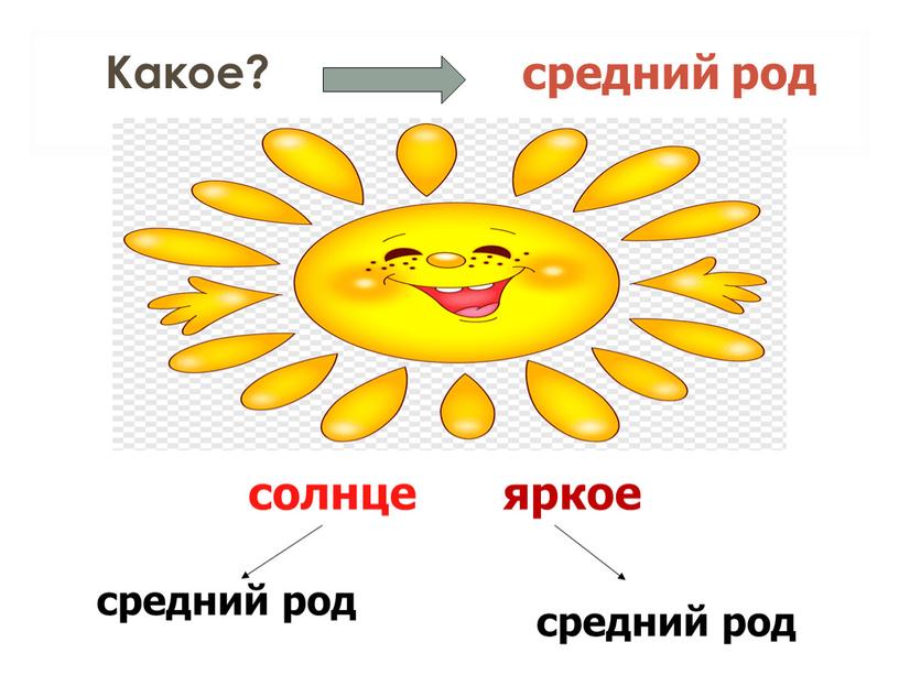 Какое? средний род солнце средний род средний род яркое