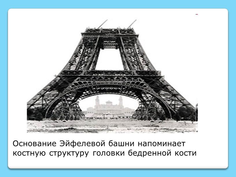 Основание Эйфелевой башни напоминает костную структуру головки бедренной кости