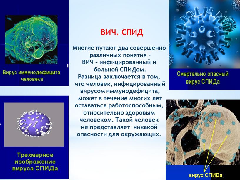 ВИЧ. СПИД Многие путают два совершенно различных понятия –