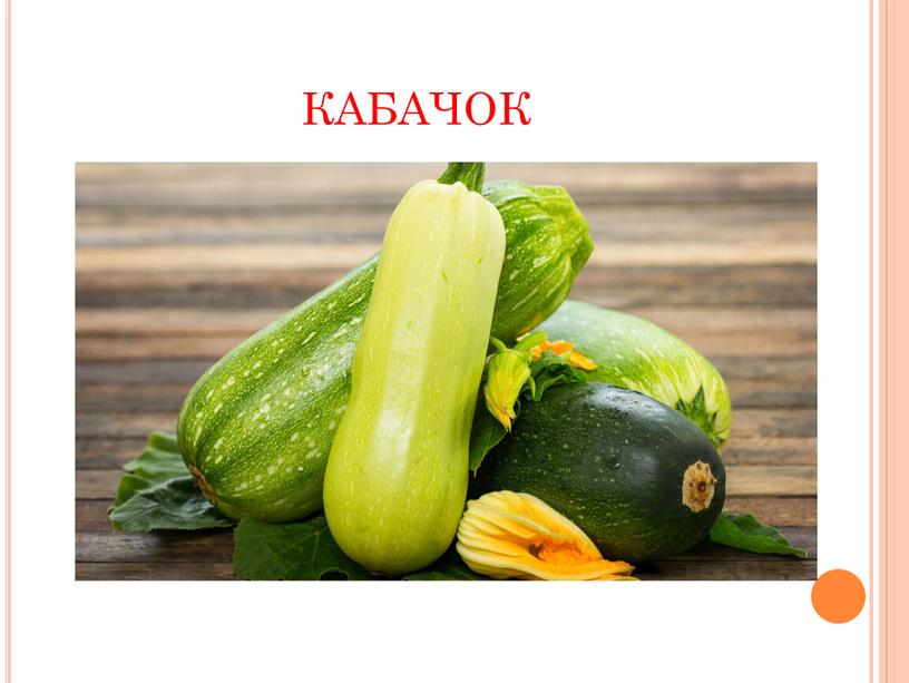 кабачок