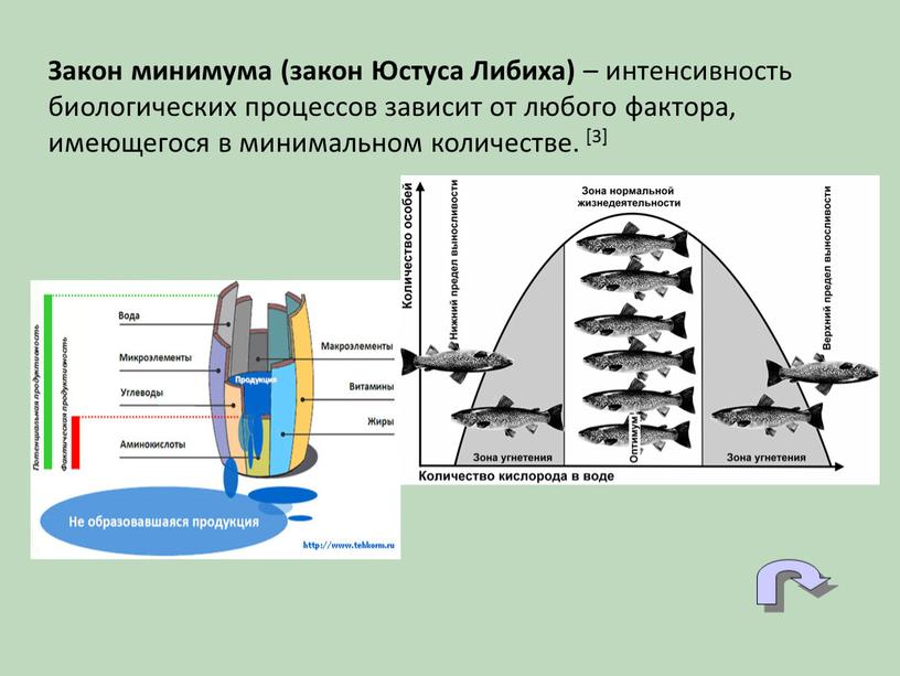 Закон минимума (закон Юстуса Либиха) – интенсивность биологических процессов зависит от любого фактора, имеющегося в минимальном количестве