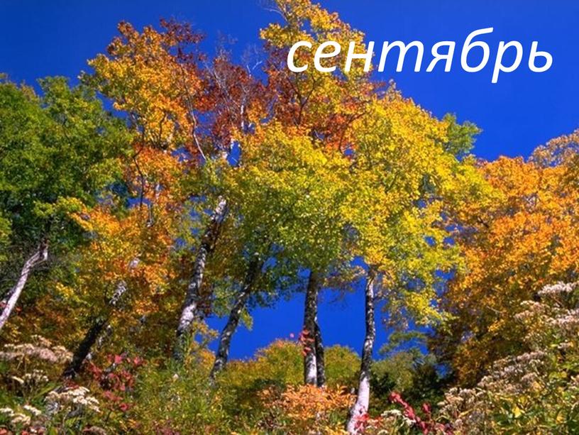 сентябрь