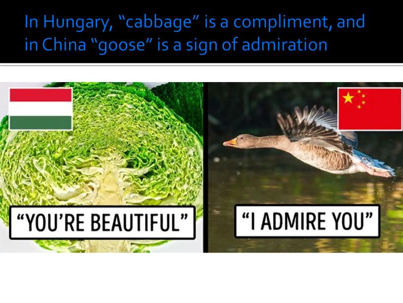 In Hungary, “cabbage” is a compliment, and in