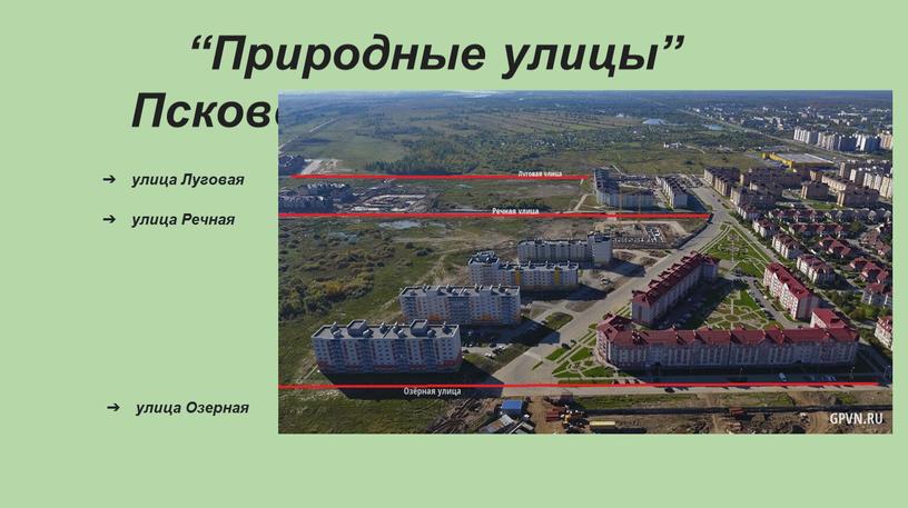 Луговая “Природные улицы” Псковского микрорайона улица