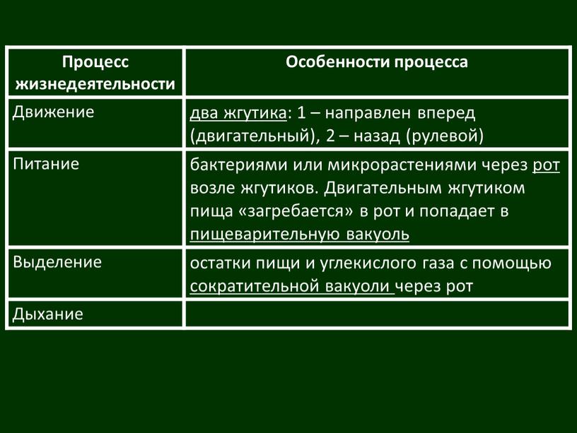 Процесс жизнедеятельности Особенности процесса