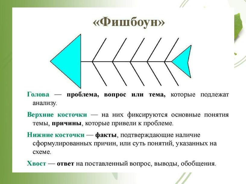 План конспект урока 5 класса строение клетки