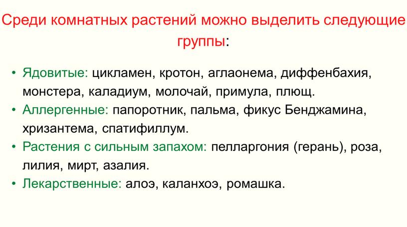 Среди комнатных растений можно выделить следующие группы: