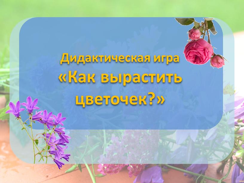 Дидактическая игра «Как вырастить цветочек?»