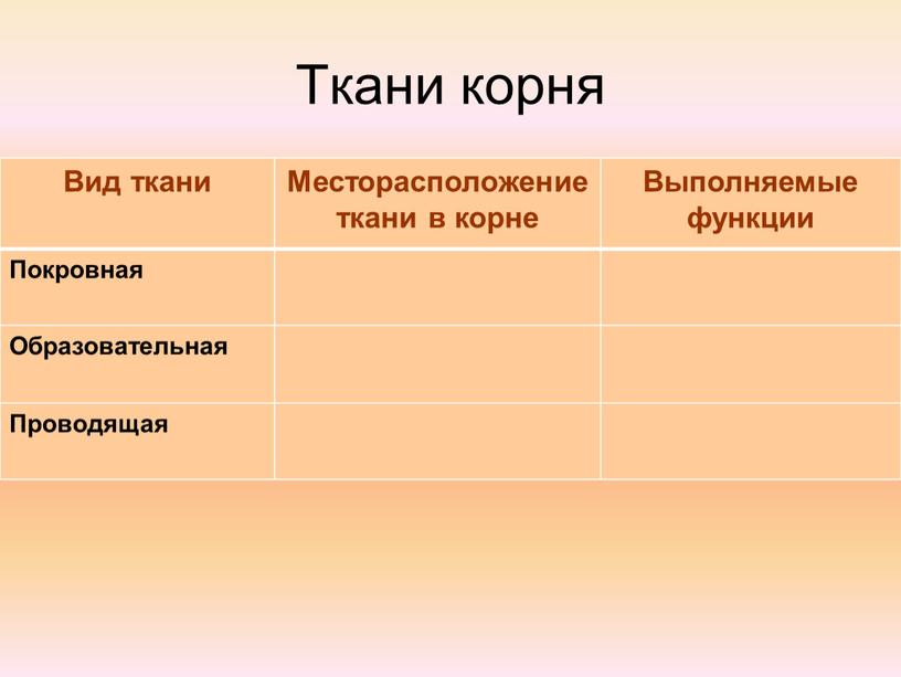 Ткани корня Вид ткани Месторасположение ткани в корне