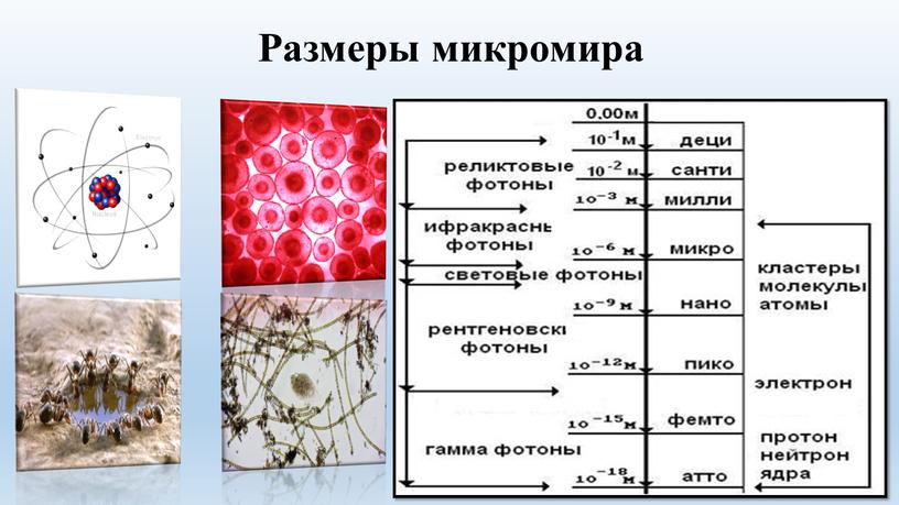 Размеры микромира