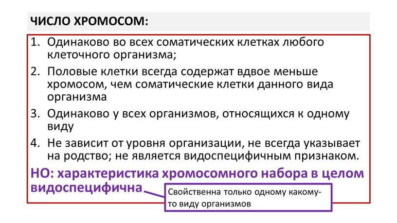 ЧИСЛО ХРОМОСОМ: Одинаково во всех соматических клетках любого клеточного организма;