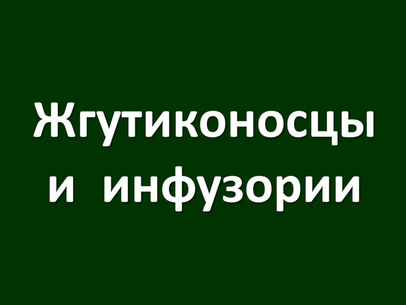 Жгутиконосцы и инфузории