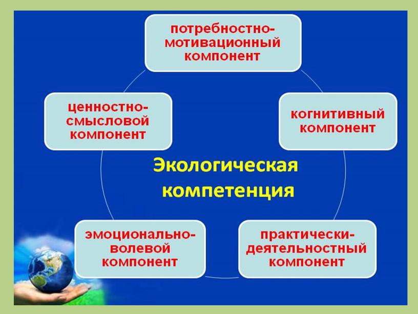 Практико-деятельностный компонент экологического воспитания обучающихся