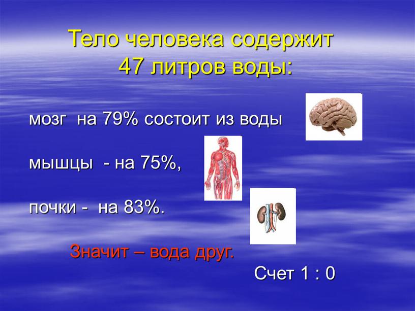 Тело человека содержит 47 литров воды: мозг на 79% состоит из воды мышцы - на 75%, почки - на 83%