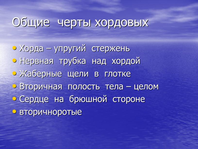 Общие черты хордовых Хорда – упругий стержень