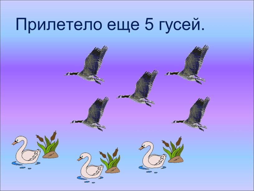 Прилетело еще 5 гусей.