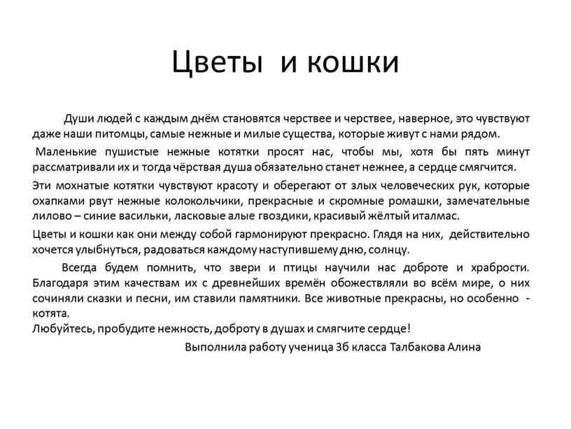 Цветы и кошки Души людей с каждым днём становятся черствее и черствее, наверное, это чувствуют даже наши питомцы, самые нежные и милые существа, которые живут…