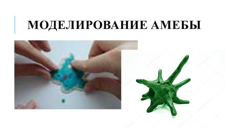 Моделирование амебы