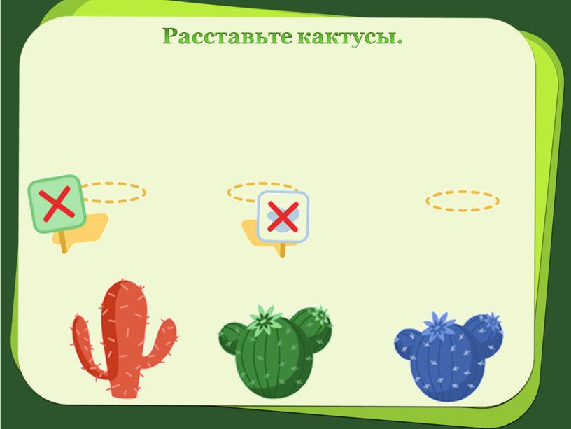 Расставьте кактусы.