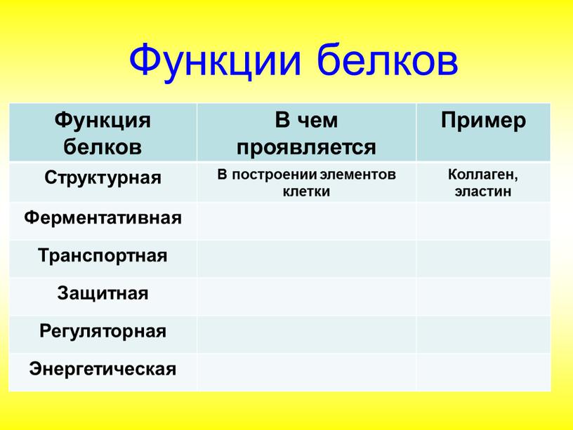 Функции белков Функция белков В чем проявляется