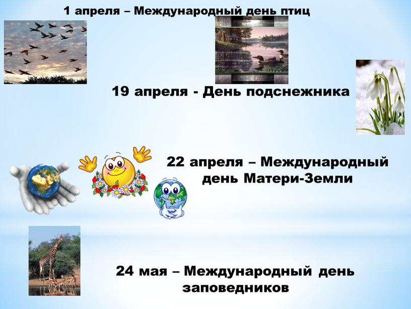 Международный день птиц 19 апреля -