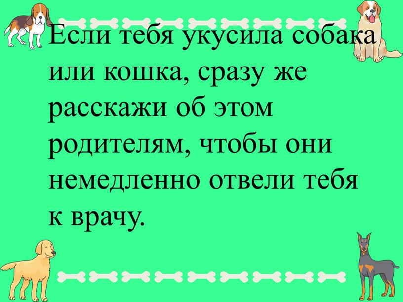 Если тебя укусила собака или кошка, сразу же расскажи об этом родителям, чтобы они немедленно отвели тебя к врачу