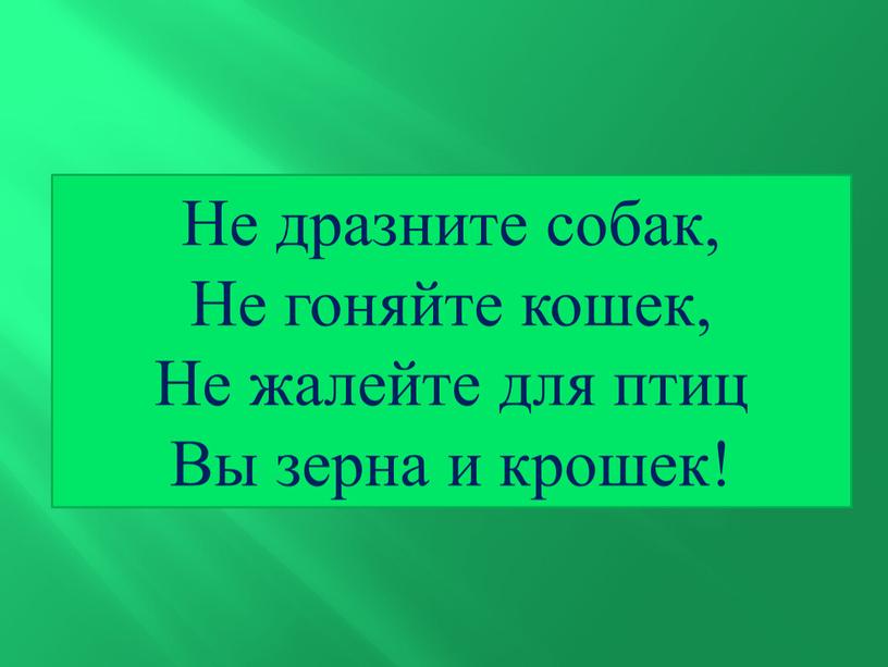 Не дразните собак, Не гоняйте кошек,