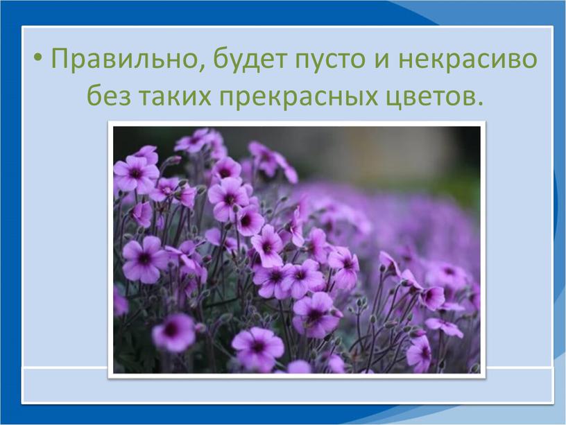 Правильно, будет пусто и некрасиво без таких прекрасных цветов