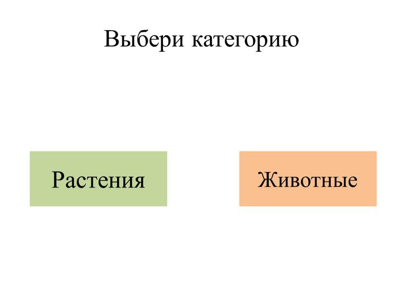 Выбери категорию Растения Животные