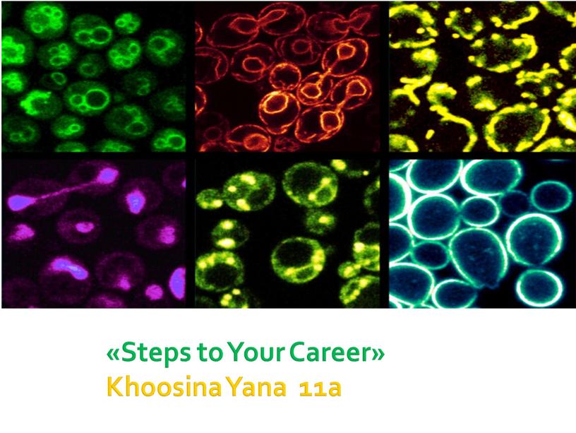 Steps to Your Career» Khoosina